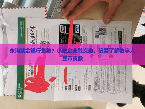 东沟紫金银行贷款？小微企业融资难，赶紧了解数字人民币贷款