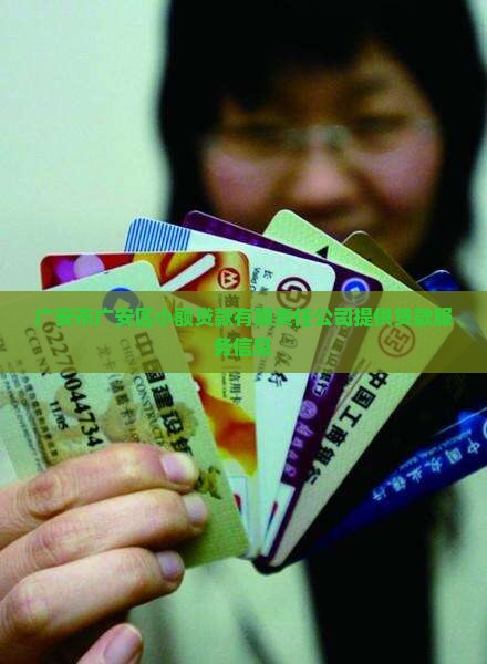 广安市广安区小额贷款有限责任公司提供贷款服务信息