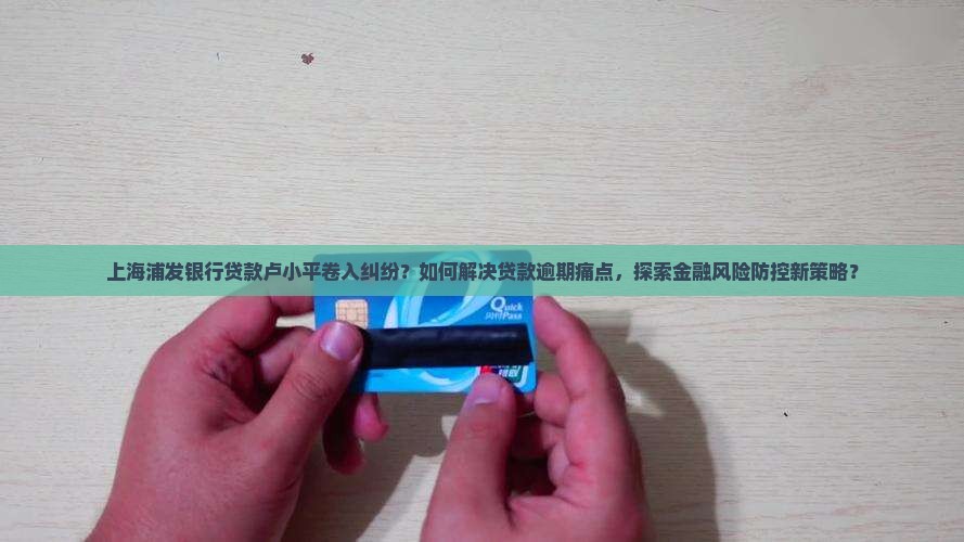 上海浦发银行贷款卢小平卷入纠纷？如何解决贷款逾期痛点，探索金融风险防控新策略？