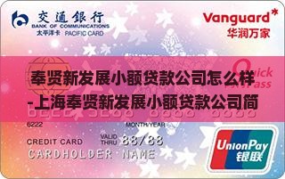 奉贤新发展小额贷款公司怎么样-上海奉贤新发展小额贷款公司简介