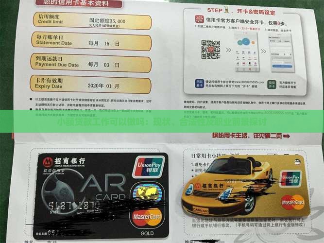 小额贷款工作可以做吗：现状、合法性及职业前景探讨