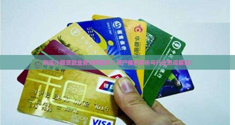 刷宝小额贷款业务为何缺失？用户痛点解析与行业热词解读！
