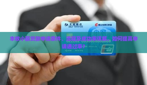 丰收小额贷款申请条件、流程及成功率详解，如何提高申请通过率？