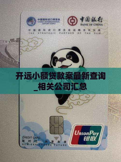 开远小额贷款案最新查询_相关公司汇总