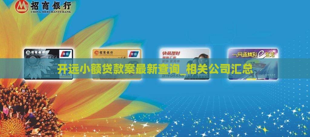 开远小额贷款案最新查询_相关公司汇总