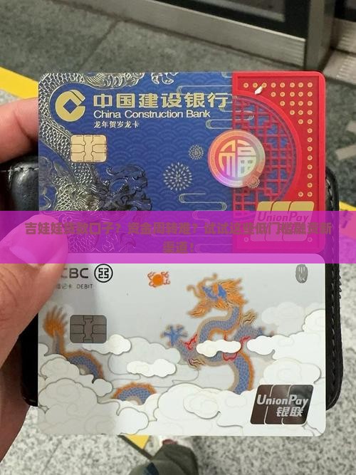 吉娃娃贷款口子？资金周转难？试试这些低门槛融资新渠道！