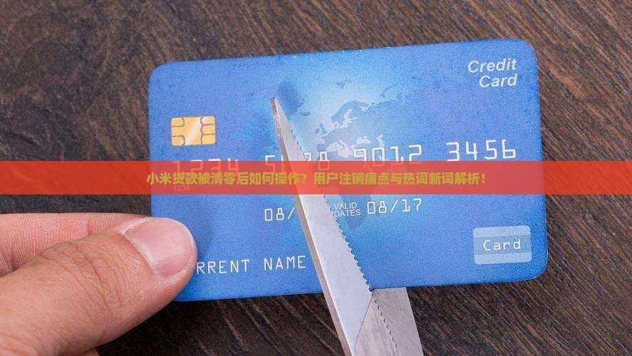 小米贷款被清零后如何操作？用户注销痛点与热词新词解析！