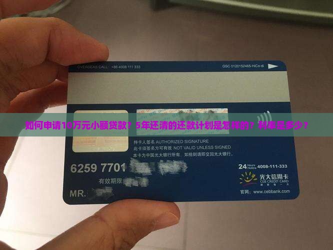 如何申请10万元小额贷款？5年还清的还款计划是怎样的？利率是多少？