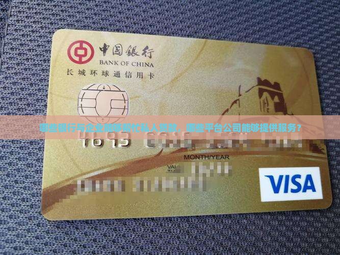哪些银行与企业能够帮忙私人贷款，哪些平台公司能够提供服务？