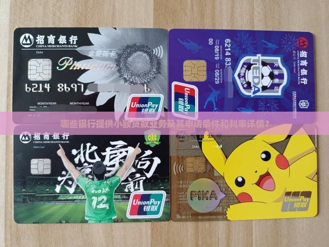 哪些银行提供小额贷款业务及其申请条件和利率详情？