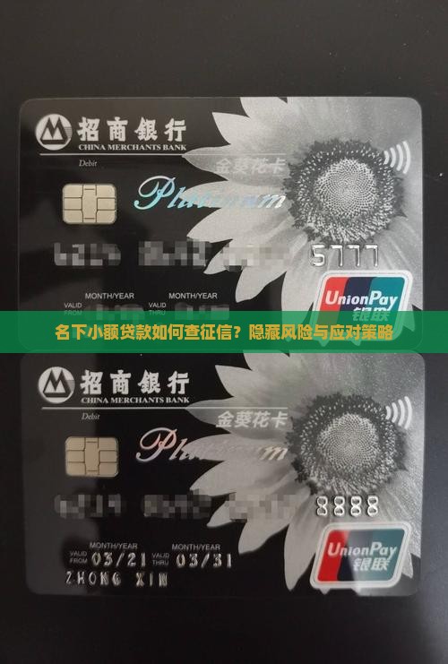 名下小额贷款如何查征信？隐藏风险与应对策略