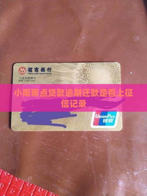 小雨雨点贷款逾期还款是否上征信记录