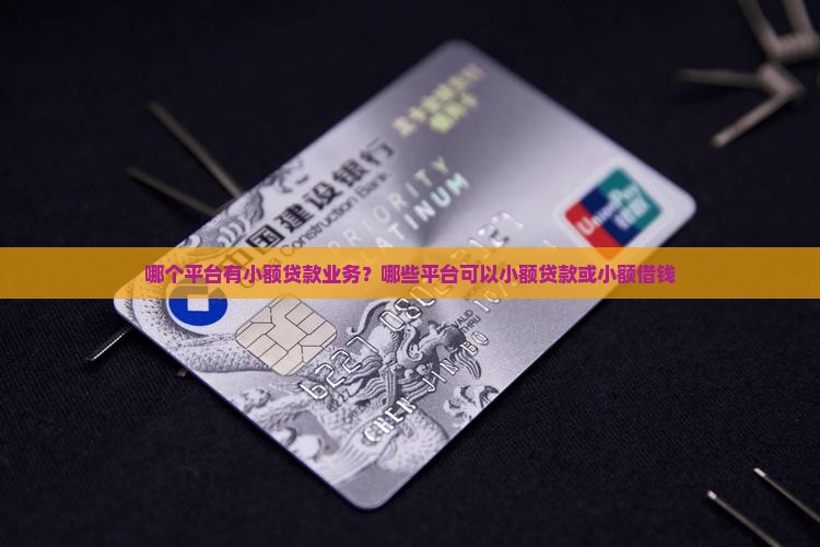 哪个平台有小额贷款业务？哪些平台可以小额贷款或小额借钱