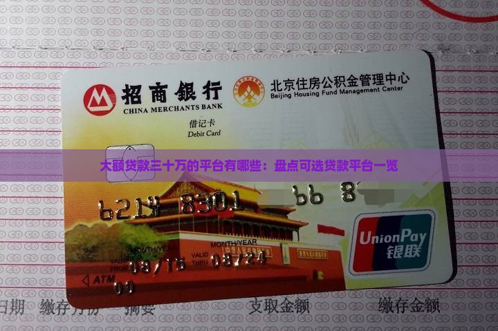 大额贷款三十万的平台有哪些：盘点可选贷款平台一览