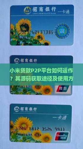 小米贷款P2P平台如何运作？其源码获取途径及使用方法是什么？
