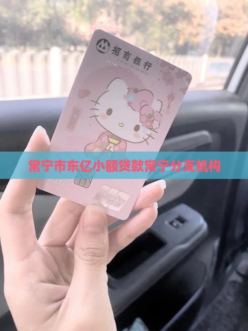 常宁市东亿小额贷款常宁分支机构
