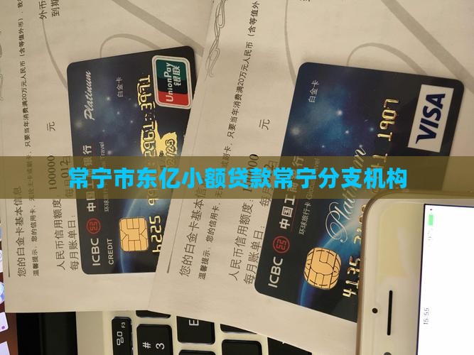 常宁市东亿小额贷款常宁分支机构