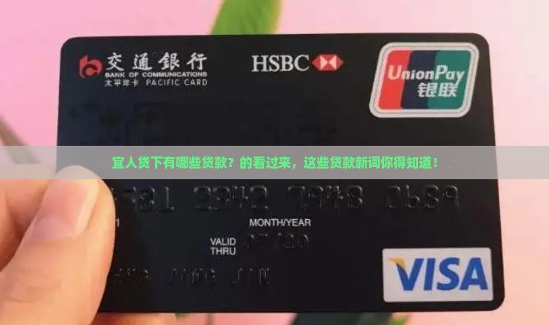 宜人贷下有哪些贷款？的看过来，这些贷款新词你得知道！