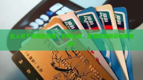 宜人贷下有哪些贷款？的看过来，这些贷款新词你得知道！