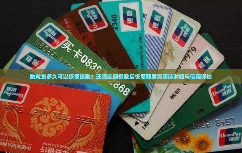 微粒贷多久可以恢复贷款？还清逾期借款后恢复额度需等待时间与信用评估