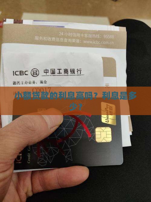 小额贷款的利息高吗？利息是多少？
