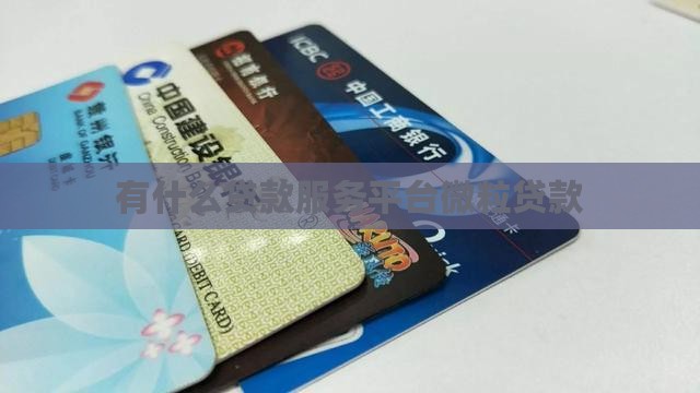 有什么贷款服务平台微粒贷款