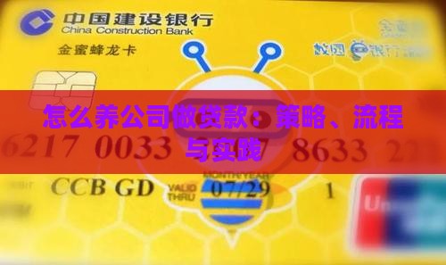 怎么养公司做贷款：策略、流程与实践