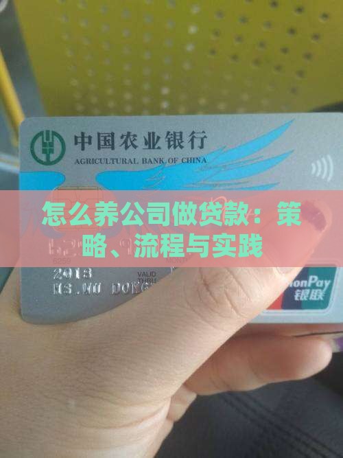 怎么养公司做贷款：策略、流程与实践