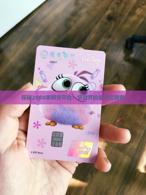 探秘2000家网贷平台：贷款界的全方位指南