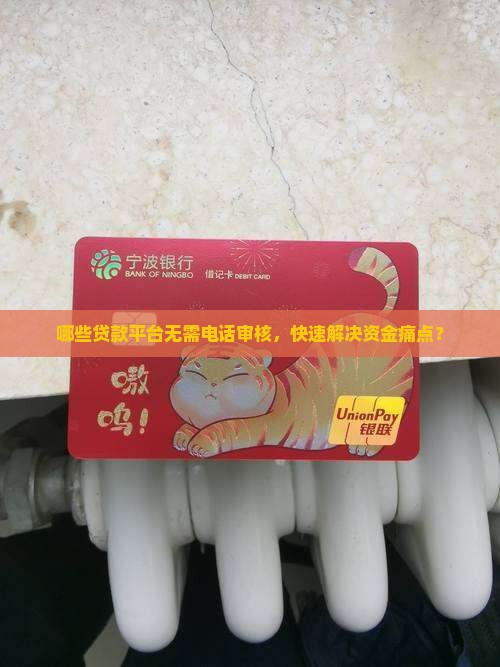 哪些贷款平台无需电话审核，快速解决资金痛点？