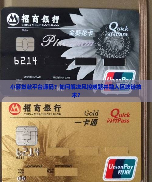 小额贷款平台源码？如何解决风控难题并融入区块链技术？
