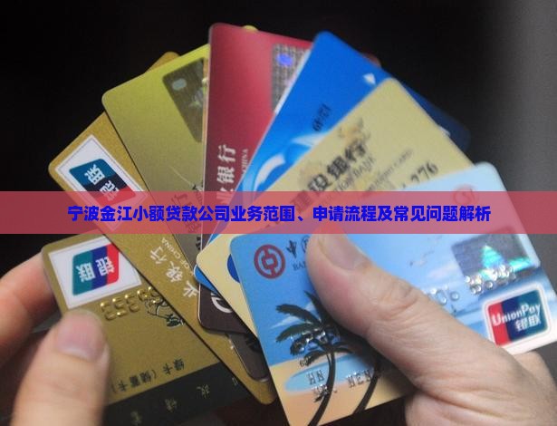 宁波金江小额贷款公司业务范围、申请流程及常见问题解析