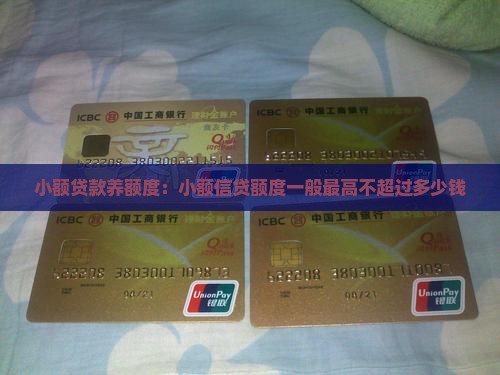 小额贷款养额度：小额信贷额度一般最高不超过多少钱
