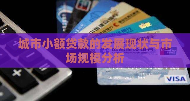 城市小额贷款的发展现状与市场规模分析