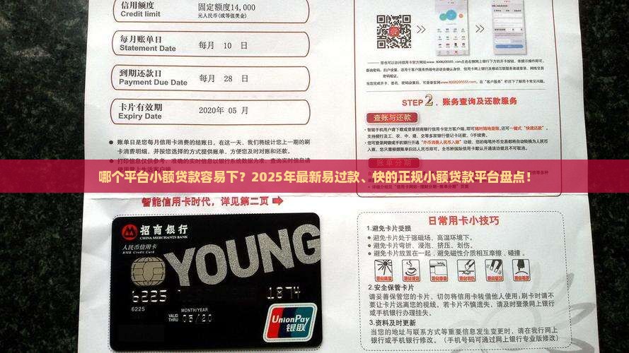 哪个平台小额贷款容易下？2025年最新易过款、快的正规小额贷款平台盘点！