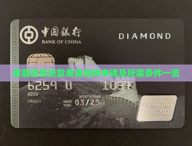 家庭信用贷款单身如何申请及所需条件一览