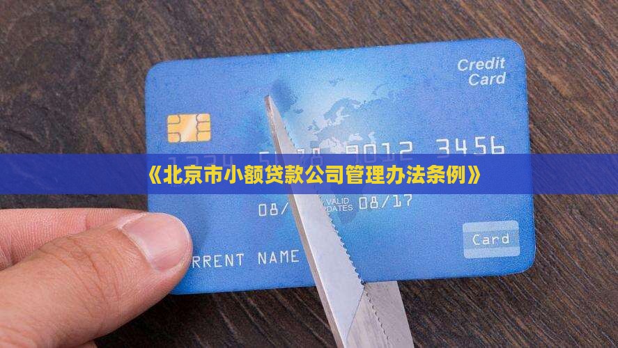 《北京市小额贷款公司管理办法条例》
