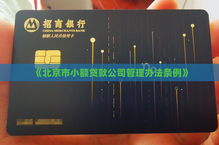 《北京市小额贷款公司管理办法条例》