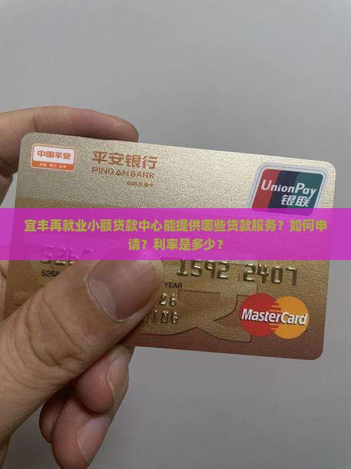 宜丰再就业小额贷款中心能提供哪些贷款服务？如何申请？利率是多少？