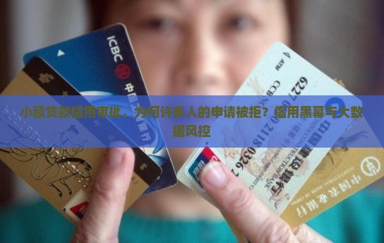 小额贷款信用审批，为何许多人的申请被拒？信用黑幕与大数据风控