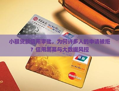 小额贷款信用审批，为何许多人的申请被拒？信用黑幕与大数据风控