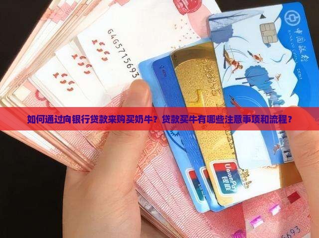 如何通过向银行贷款来购买奶牛？贷款买牛有哪些注意事项和流程？