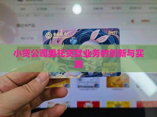 小贷公司委托贷款业务的创新与实践