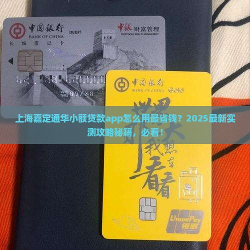 上海嘉定通华小额贷款app 上海嘉定通华小额贷款app