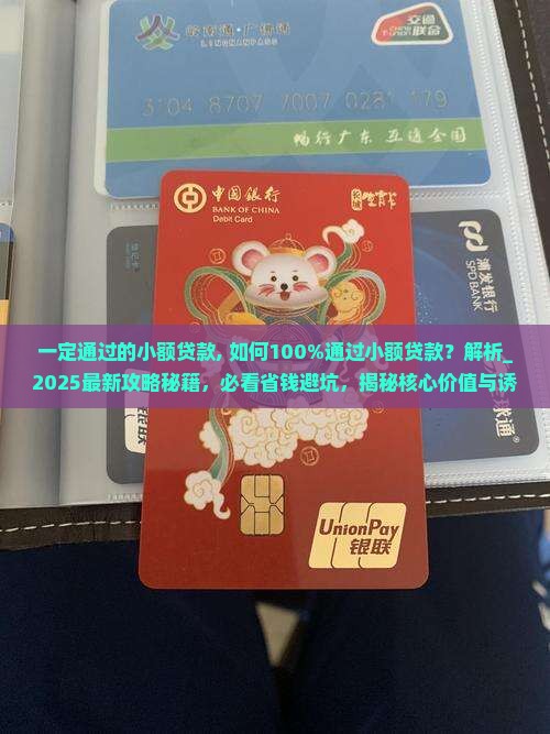 一定通过的小额贷款