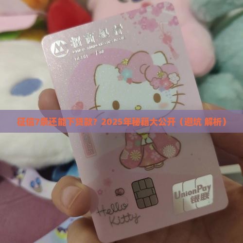 征信7条能下的贷款