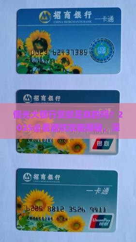 假光大银行贷款