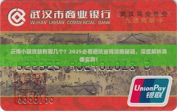 云南小额贷款有哪几个