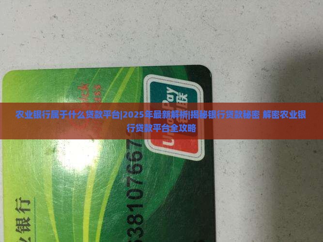 农业银行属于什么贷款平台