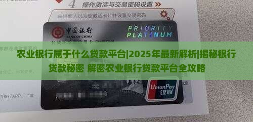 农业银行属于什么贷款平台